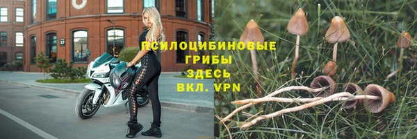 спайс Няндома